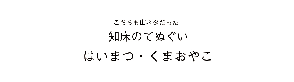 知床グッズの知床てぬぐい